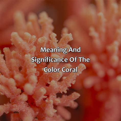 what does coral mean